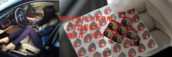 МДПВ Бородино