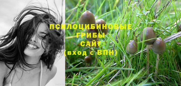 прущая мука Михайловск