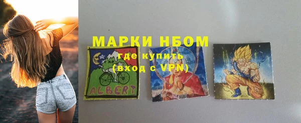 стаф Медногорск