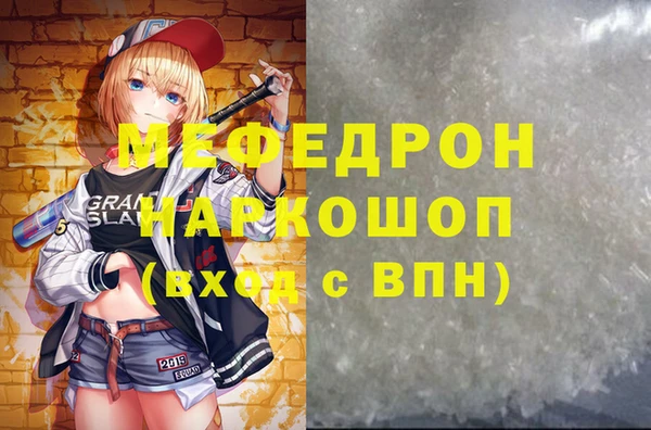 МДПВ Бородино