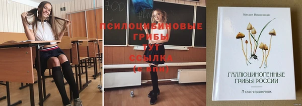 стаф Медногорск