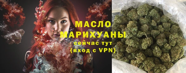 МДПВ Бородино