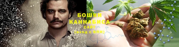 сатива Бугульма