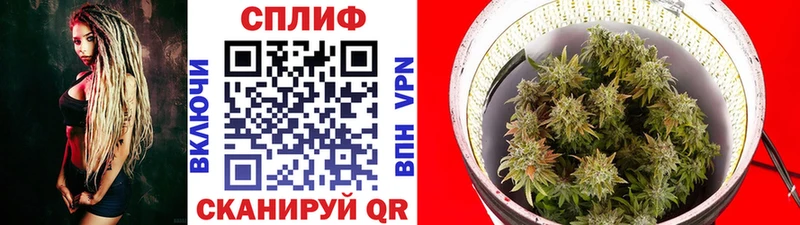 блэк спрут зеркало  Верхоянск  Конопля Bruce Banner 